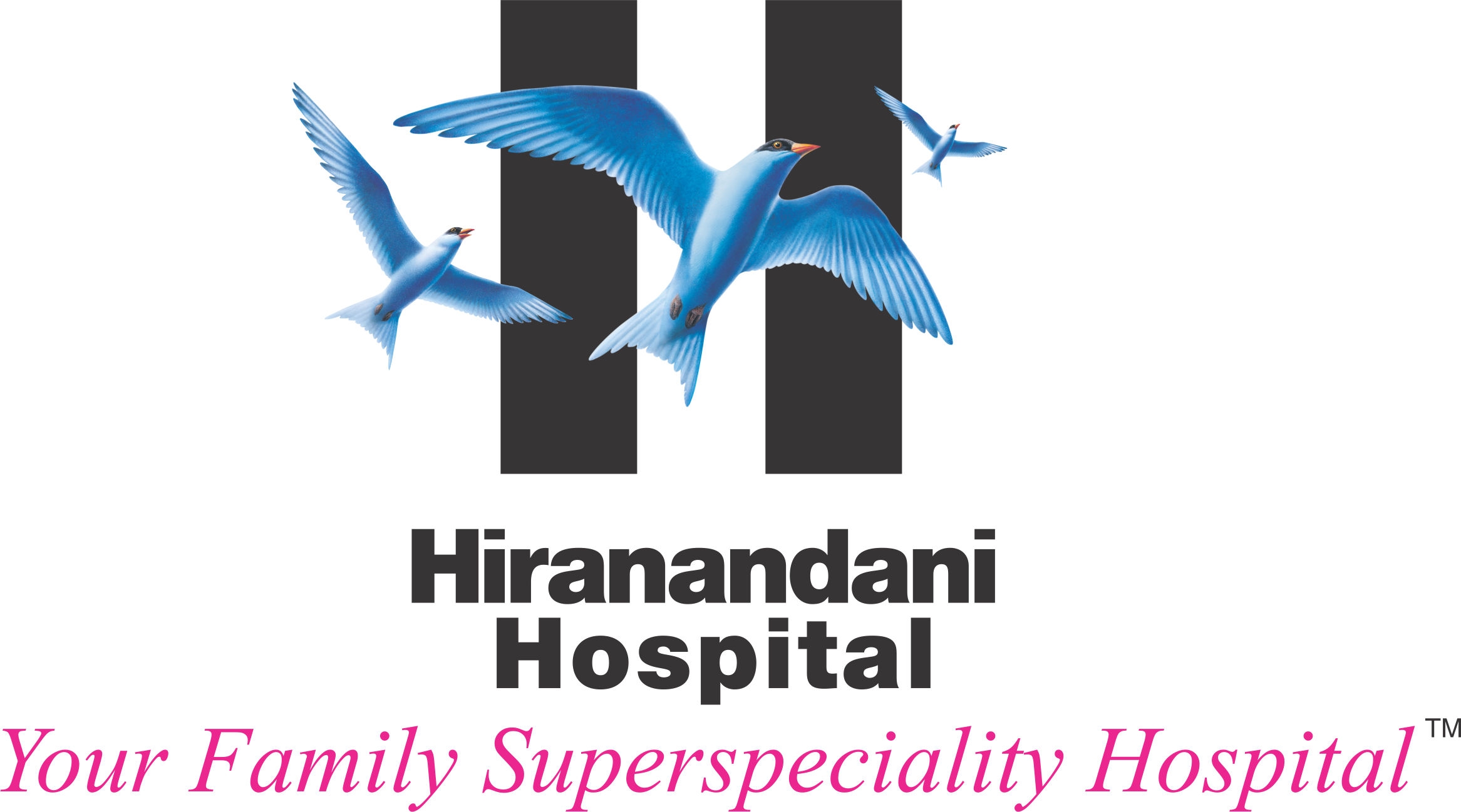 hiranandani-hospital-logo-1